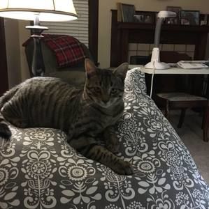 Meet your Posher, Nancy